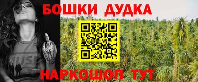 мдпв Краснознаменск