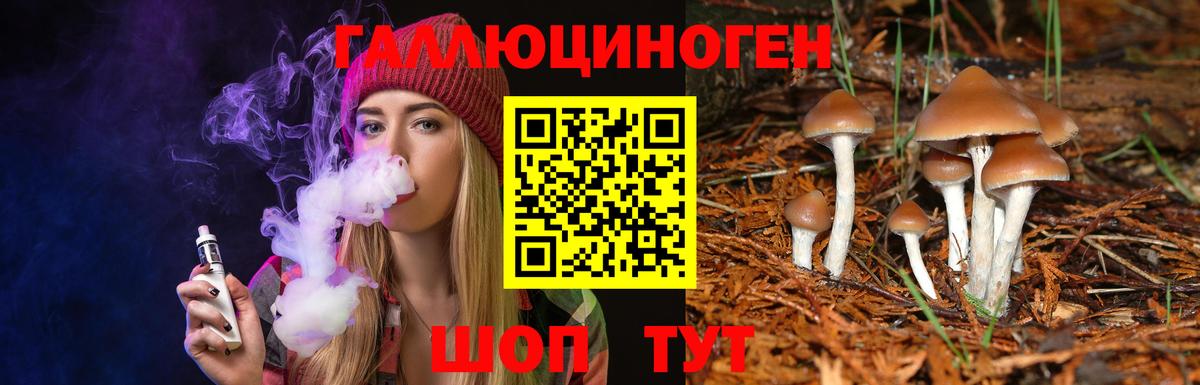 Кисловодск  Галлюциногенные грибы мицелий  что такое   Вход с VPN 